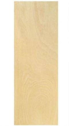 PORTA LISA PINTURA 0.70X2.10