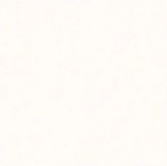 PORC INCESA NEW TEC WHITE 60X60 A