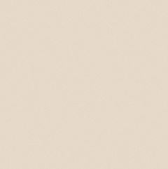 PORC TECNOGRES C PPO58120R 58X58 C