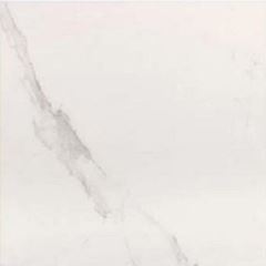 PORC ELIZ LE BLANC ESM AC 74X74 A