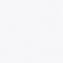 PORC. PAMESA PROJECTA NEVE 58X58 