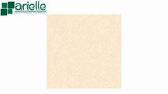 PISO ARIELE ARUANA BEGE 54X54 A 
