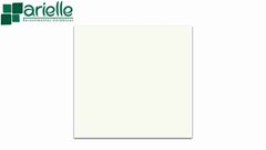 PISO ARIELE RIVIERA BR MATE 54X54 A