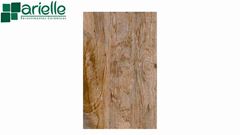 REV ARIELE THOR 37X59 A