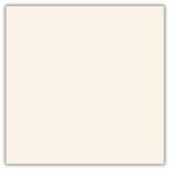 PORC TECNOGRES C PPO58020R 58X58 C