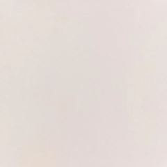 PORC ELIZ C SUPER BIANCO POL 74X74 C