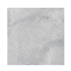 PORC ELIZ FIORI BOSC ESM100X100 PO PBI