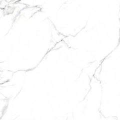 PORC TECNOGRES PPO76290R 76X76 A