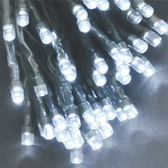 CORDAO.LEDS WHITE F.VERDE 127V