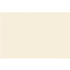 REV INCENOR RVI66100 A 33X50