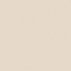 PORC TECNOGRES PPO58120R 58X58 A