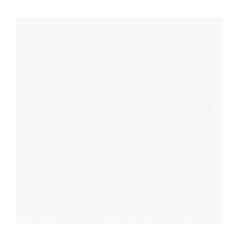 PORC TECNOGRES PPO58010R 58X58 A